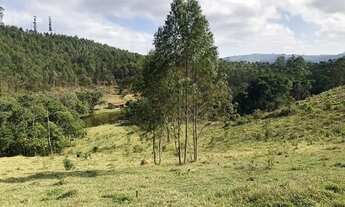 Imagem 3: Terreno 600m² em Igarata com linda vista e ótima topografia