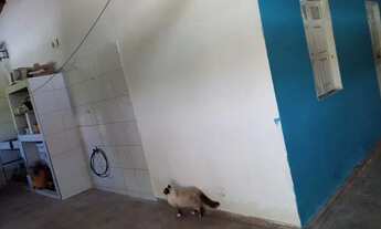 Imagem 3: CASA PARA FESTEJO JUNINO PRÓXIMO A FESTA DE SERRRINHA BA