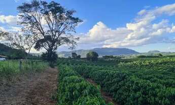 Imagem 5: Sítio Capetinga 19 Alqueires