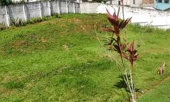 Imagem 6: Aluga-se apartamento