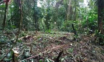 Imagem 4: Terreno à venda, 26000 m² por R$ 900.000,00 - Ubatumirim - Ubatuba/SP