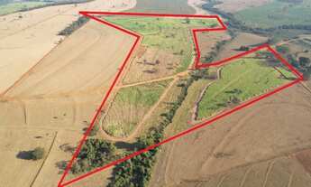 Imagem 3: 90% de Cana em Nhandeara