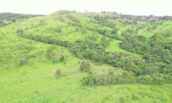 Imagem 4: Fazenda município de Abadiânia 82 alqueires