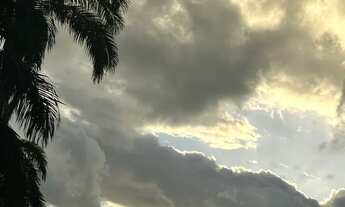 Imagem: Procuro menina para dividir apartamento