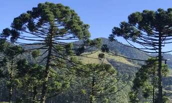 Imagem 2: Terreno Condomínio Condado Altos da Mantiqueira
