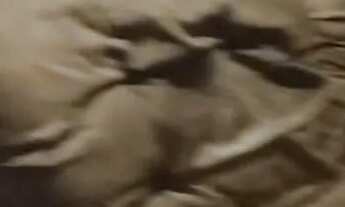 Imagem 6: Casa fundos para alugar