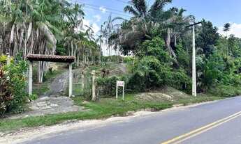 Imagem 3: Vende-se o Sítio São José de Ribamar: Um Paraíso Tropical na AM 010, Km 112