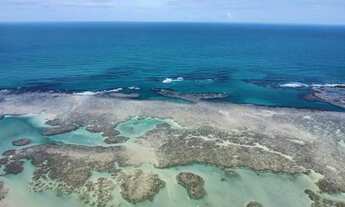 Imagem 5: Imóvel para venda possui 23 metros quadrados com 1 quarto em Centro - São José da Coroa Gr