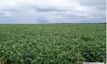 Imagem 3: FAZENDA (6.402 hectares), SEDE ESPETACULAR, TOTALMENTE EQUIPADA PARA OPERAÇÃO E PRODUÇÃO