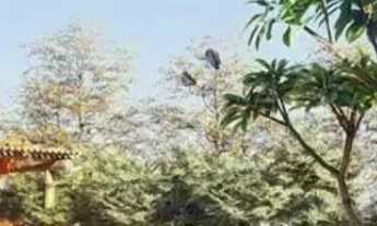 Imagem 4: Terreno à venda, 616 m² por R$ 1.920.000 - Jardins Itália - Goiânia/GO