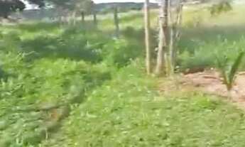 Imagem 6: Sítio em Ituiutaba