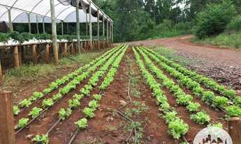 Imagem 2: Terreno à venda, Distrito de São João - Cascavel/Pr