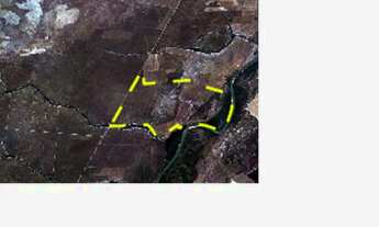 Imagem 3: ARRENDO TERRAS PARA PECUÁRIA E AGRICULTURA