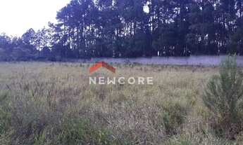 Imagem: Lote em Rua Oscalina Mendes Rodrigues