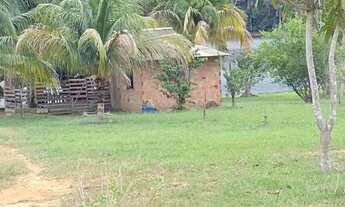 Imagem 2: Sitio em balbina