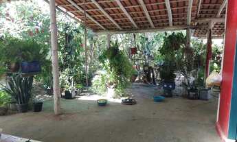 Imagem 6: Chacara Praticamente dentro Da Cidade....Otima EStrutura 150.000.00