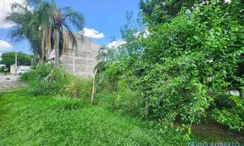 Imagem 6: TERRENO - JARDIM INDIANÓPOLIS - SP