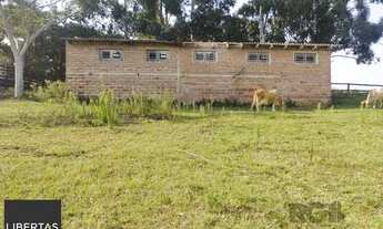 Imagem 7: Sítio em Estância Grande