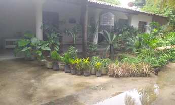 Imagem 5: Terreno na Parangaba