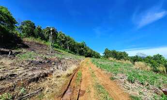 Imagem 3: Sítio / Chácara para Venda em Nova Petrópolis, Fazenda Pirajá