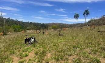 Imagem 3: Terreno com Potencial de Rentabilidade