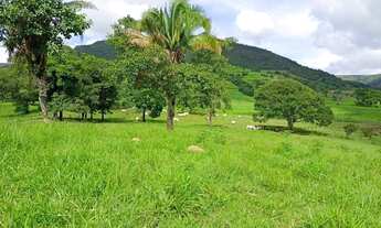 Imagem 3: Fazenda à venda possui 125 alqueires em Zona Rural - Cocalzinho de Goiás - GO