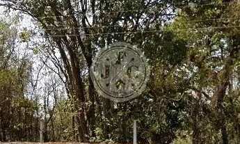 Imagem 4: Área - Venda - no bairro Jardim Ouro Branco - Ribe