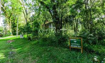 Imagem 3: LINDO LOTE NO CONDOMÍNIO PINHEIRO GROSSO