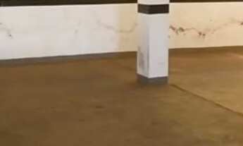 Imagem 3: Apartamento Ribeirao preto proximo a tudocom 3 quartos - Jardim irajá