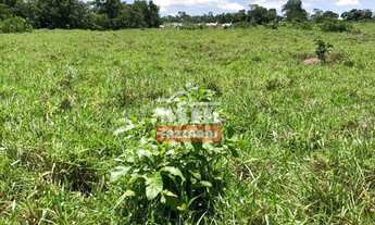 Imagem 5: Fazenda em Baliza-GO. Área Total: 820 Alqueires (3.949 Há)