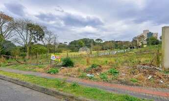 Imagem 7: Imóvel para venda com 3195 metros quadrados em Boa Vista - Curitiba - PR