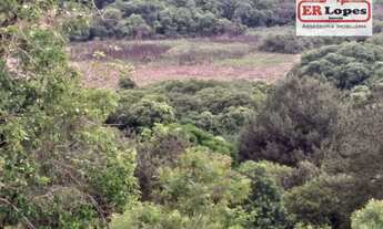 Imagem 3: Área à venda, 35733 m² por R$ 790.000,00 - Centro - Quitandinha/PR