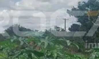 Imagem 4: Terreno à venda no Vale Santa Felicidade, São Carlos - Oportunidade única!