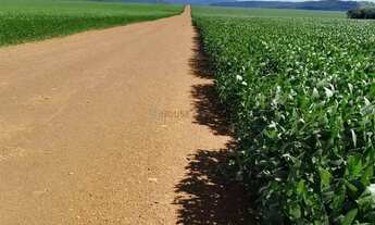 Imagem 5: Fazenda de 350 alqueires, (840 hectares), na regiao do Município de Ipameri Goia