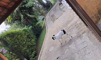 Imagem 6: Casa linear Casa com 3 dormitórios