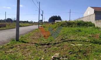 Imagem 2: Terreno 180m à venda em área alta com fácil acesso a Curitiba e Lapa