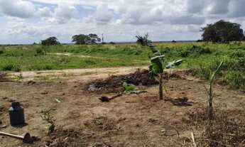 Imagem 2: Vendo dois lotes , localizado, no loteamento Brandão