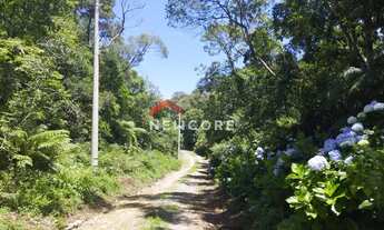 Imagem 2: Lote em Rua 1 - Colinas - São Francisco de Paula/RS