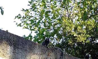 Imagem 2: Casa para venda no Araçoiaba da Serra