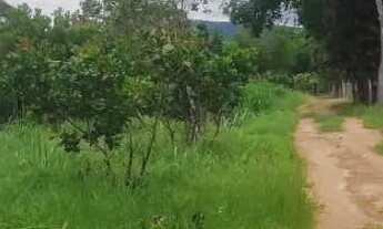 Imagem 4: CHÁCARA COMPLETA À VENDA - PORTEIRA FECHADA - Agrovila das Palmeiras