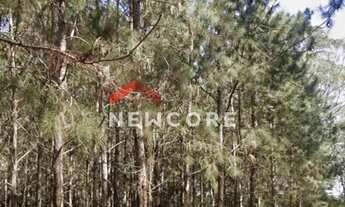 Imagem 7: Fazenda em Rodovia - Área Rural de São Miguel Arcanjo - São Miguel Arcanjo/SP