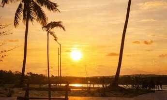 Imagem 6: Villaredo Aruana Lote com 344 M2