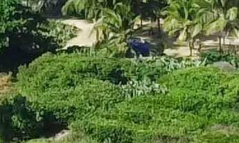 Imagem 4: Carnaval Pé na areia em Salvador