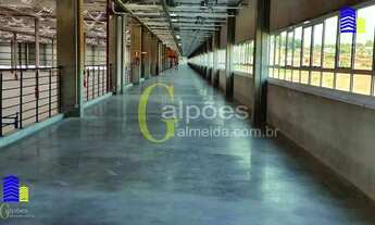 Imagem 5: Pavilhão/Galpão para alugar no bairro Padroeira - Osasco/SP