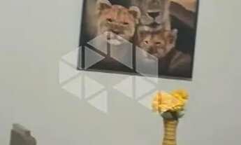 Imagem 4: Apartamento em Santana com 1 dormitório próximo do metrô