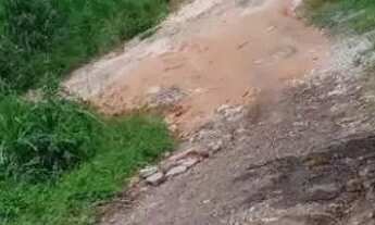 Imagem 6: Vendo casa Casa com 3 dormitórios