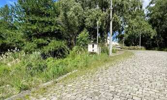 Imagem 4: CAXIAS DO SUL - Terreno Padrão - DESVIO RIZZO