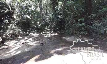 Imagem 5: Oportunidade! Área rural com muito potencial em São Francisco Xavier!