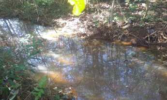 Imagem 5: Linda fazendinha a 6 km do centro da cidade, Baldim (Temos varias opções)
