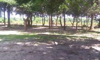 Imagem 2: Terra em Santa Rita, 60 hectares